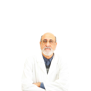 دکتر محمد شهيدی دادرس
